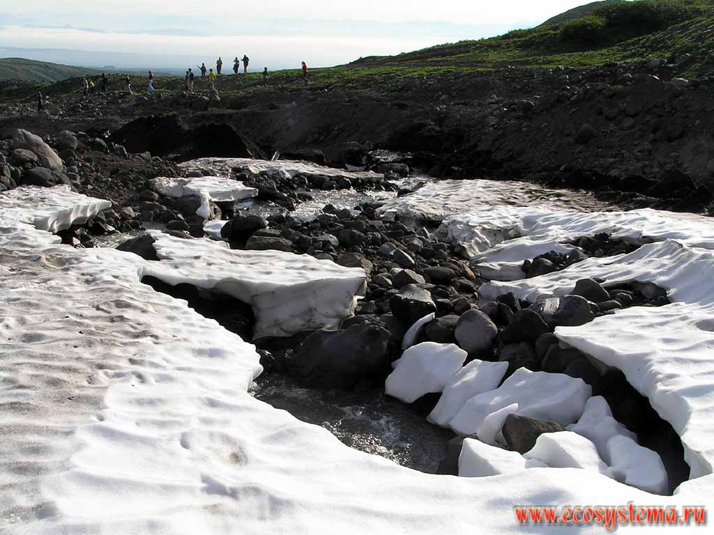 Горный ручей, вытекающий из-под снежника. Склон Авачинского вулкана