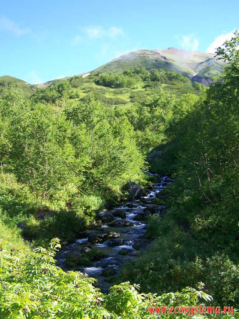Mountain creek Jolob (gutter) in the Nalichevskaya Valley