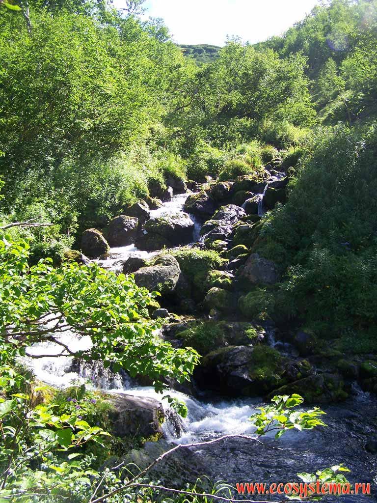 Mountain creek Jolob (gutter) in the Nalichevskaya Valley