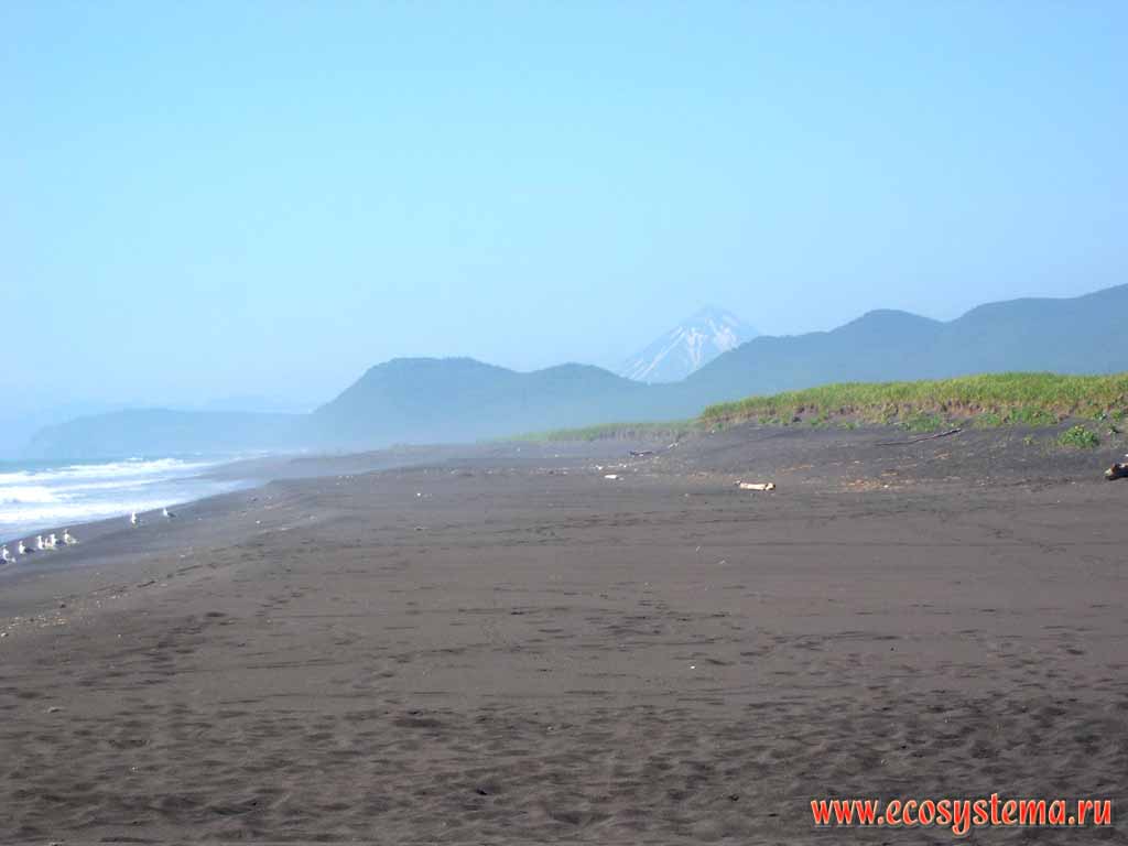 Volcanic sand beach. Halaktyrsky beach, Pacific Ocean coast.
Viluchinsky volcano in the distance