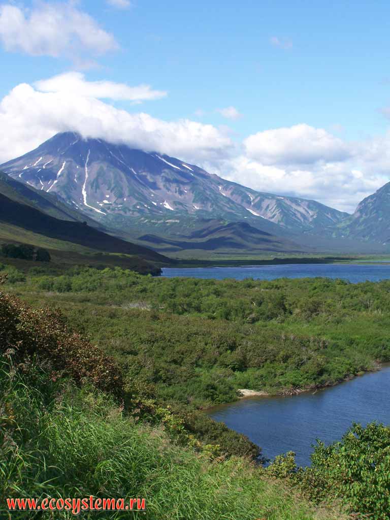 Viluchinskaya Bay. Viluchinsky volcano (height 2175 м) in the distance