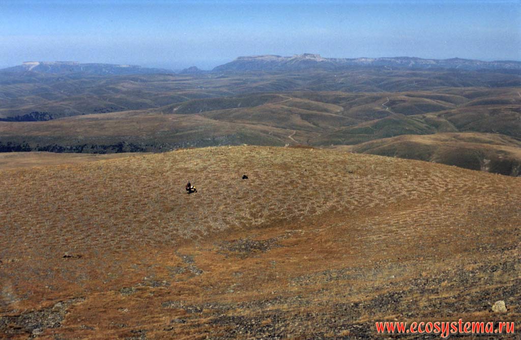 Alpine stony (rocky) ground. Bechasin plateau (2200 m above sea level). Skalisty Ridge in the background