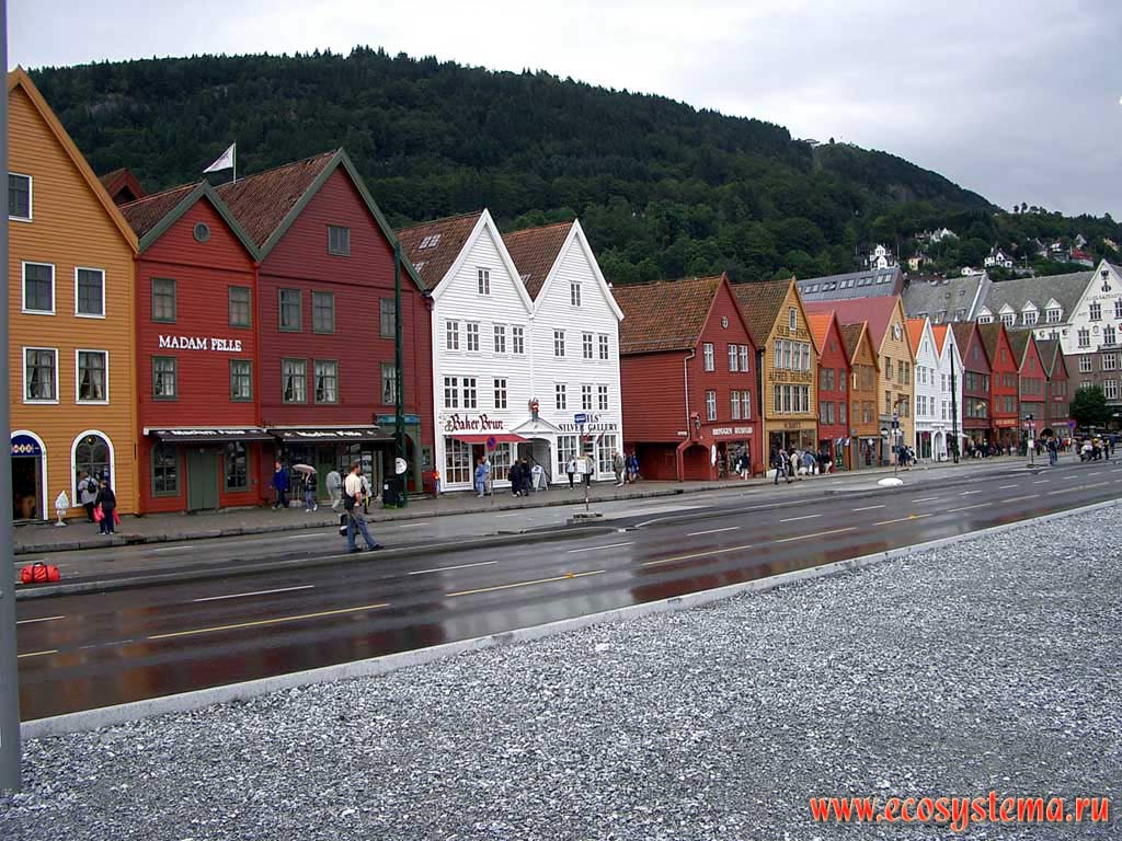 Bergen city embankment.