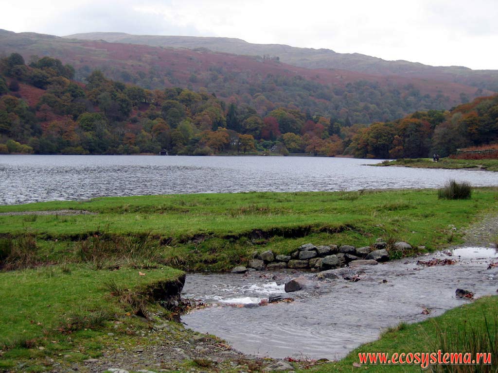 Озеро в Пеннинских горах и широколиственные леса на его берегах.
Национальный парк Озерный Край (Lake District)