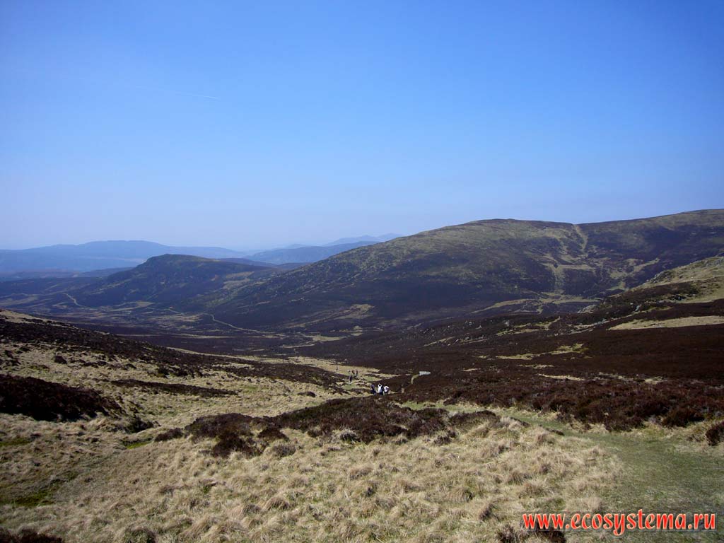 Типичный ландшафт Северо-Шотландского нагорья в верхнем высотном поясе.
Преобладают верещатики (вересковые пустоши) с преобладанием вереска, папоротников и злаковых трав.
Высота - около 600-900 м над уровнем моря. Грампианские горы, Шотландия, Великобритания
