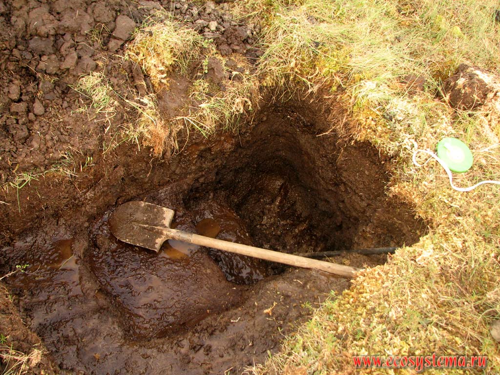 Soil pit (peat prospect-hole) in the permafrost