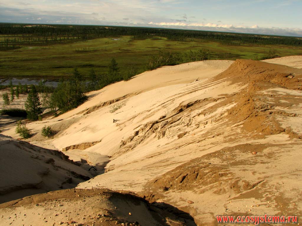 Водно-гляциальная эрозия склона коренного берега.
Тазовская провинция тундровой зоны, север Западной Сибири