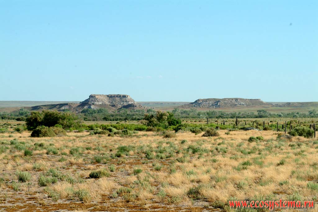 Столовые горы (останцы). Полупустыня на пути из Аризоны в Нью-Мексико. Зона степей и пустынь предгорий Кордильер Юго-запада США