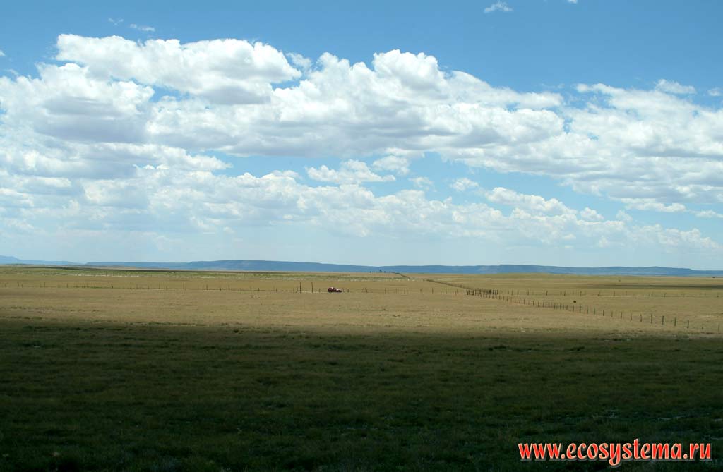 Степной ландшафт Нью-Мексико. Вдали - отроги плато Колорадо в Аризоне. Зона степей и пустынь предгорий Кордильер Юго-запада США