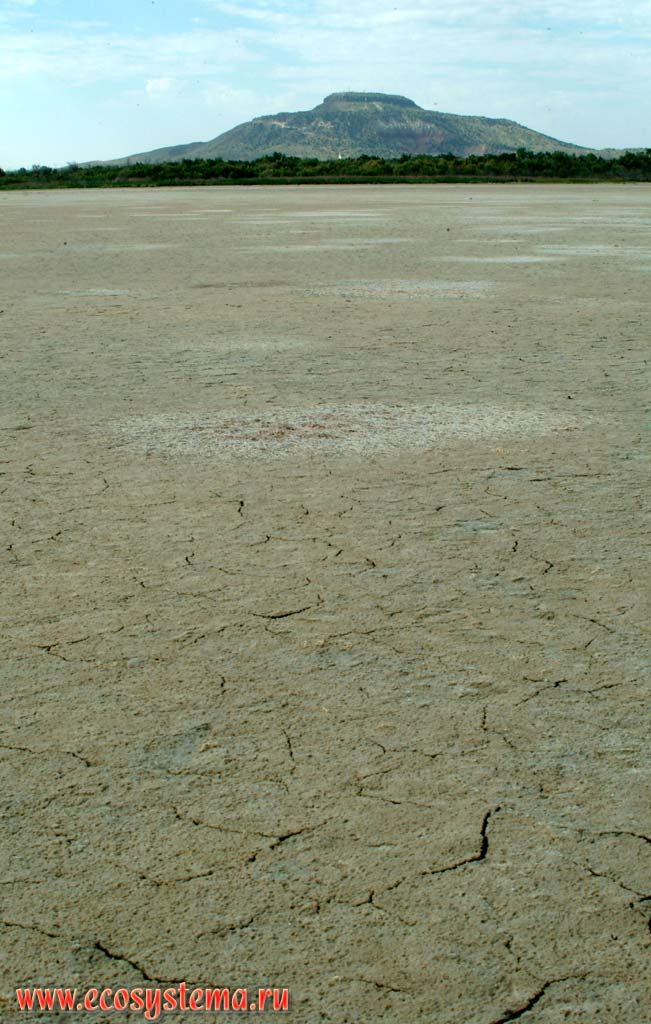 Высохшее соленое озеро в штате Нью-Мексико. Вдали - столовая гора (останец) в Аризоне.
Зона степей и пустынь предгорий Кордильер Юго-запада США