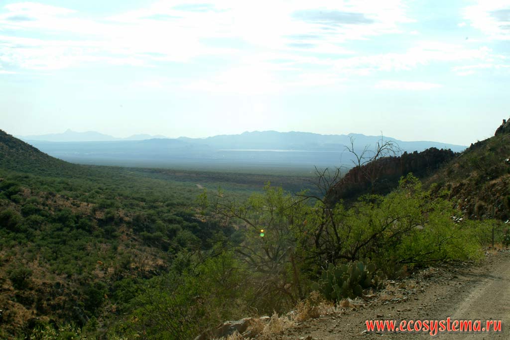 Вид из Аризоны (США) на горную цепь Сьерра-Мадре в Мексике. Зона степей и пустынь предгорий Кордильер Юго-запада США