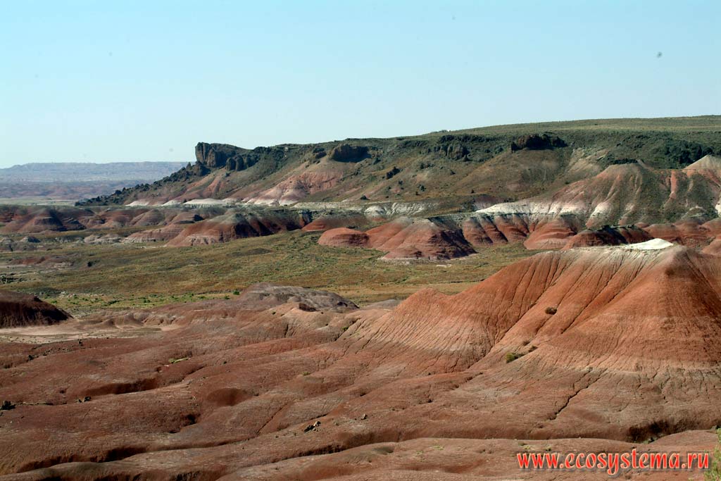Multicolored sandstone landscape in the Painted Desert National park