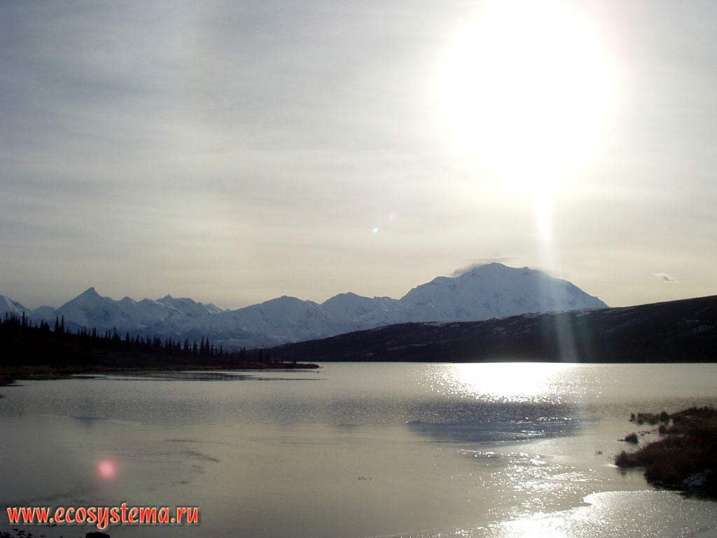 Озеро Чудес Мак-Кинли (McKinley Wonder Lake).
Национальный парк Денали. Горный Запад Северной Америки, Кордильеры Аляски, США, штат Аляска