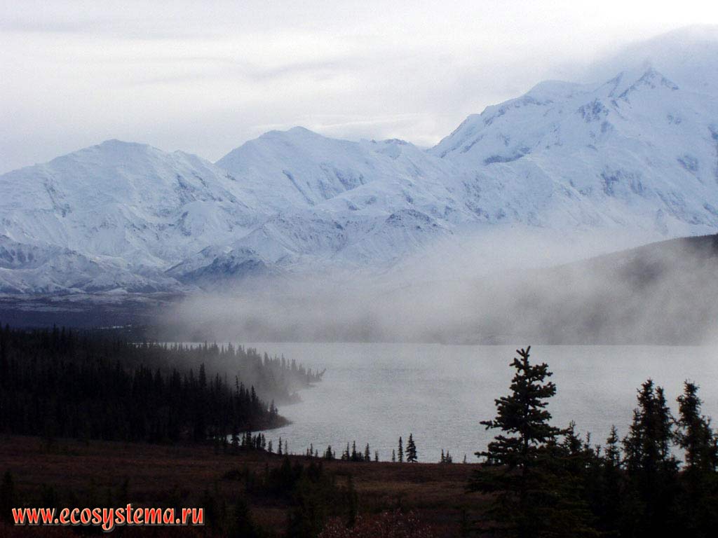Озеро Чудес и темнохвойные леса на его берегах. Национальный парк Денали.
Горный Запад Северной Америки, Кордильеры Аляски, США, штат Аляска