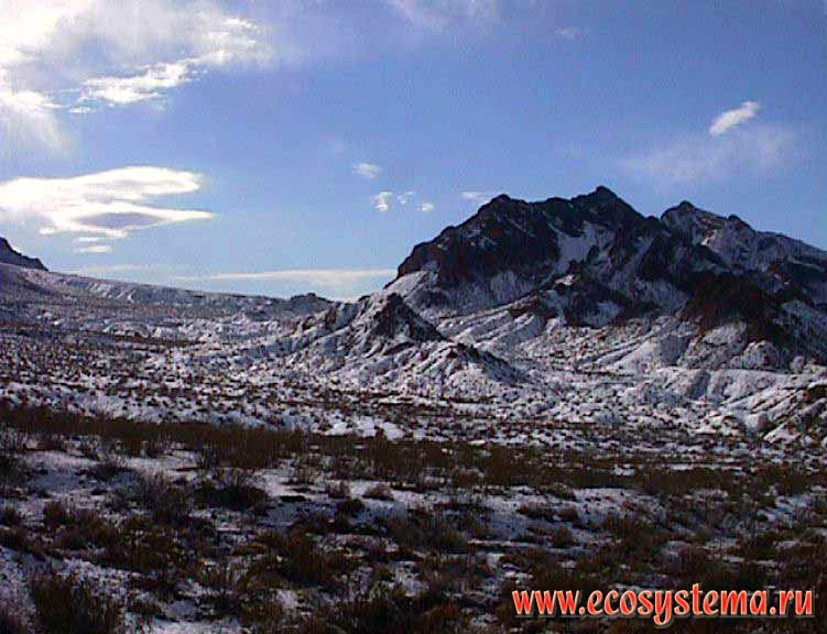 Снег в каменистой пустыне в окрестностях Лаг-Вегаса - редкое явление, наблюдающееся раз в десять лет.
Горный запад Северной Америки, Кордильеры Юго-Запада США, штат Невада