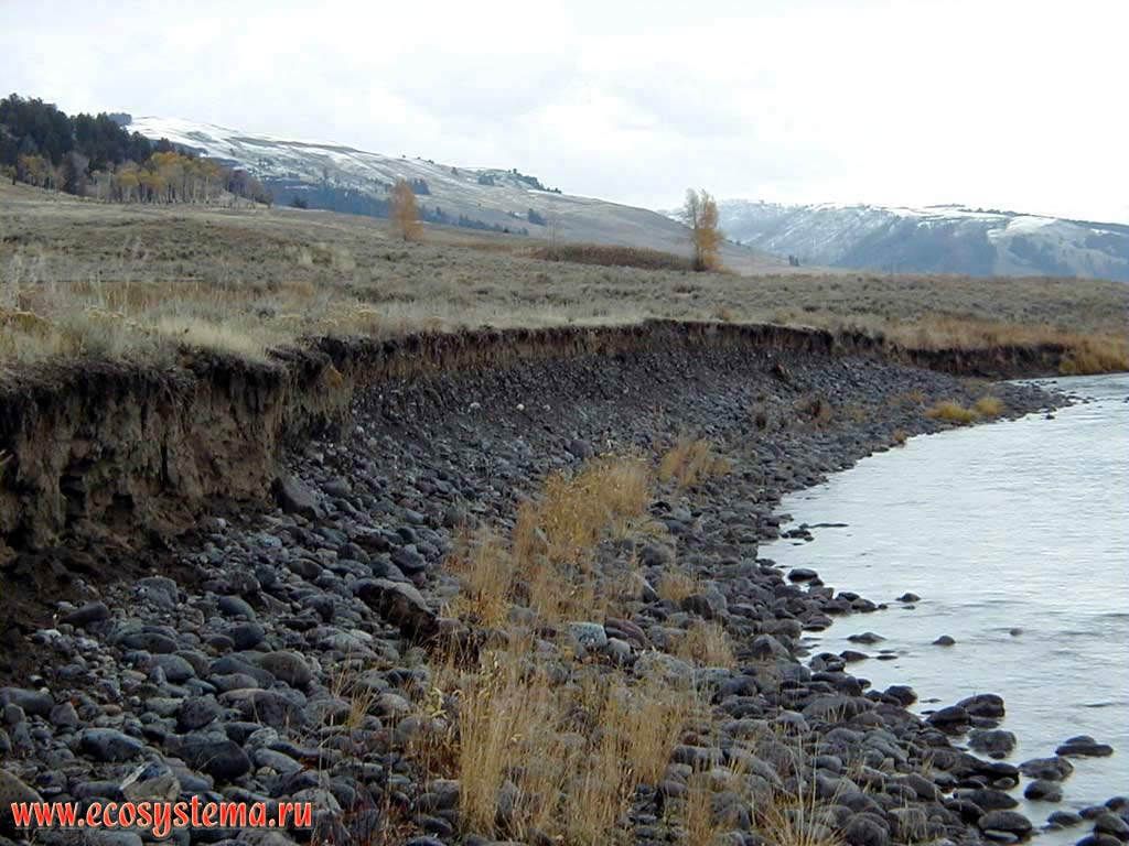 Излучина реки Йеллоустоун в среднем течении. Горный Запад Северной Америки, Кордильеры северо-запада США, Скалистые горы, штат Монтана