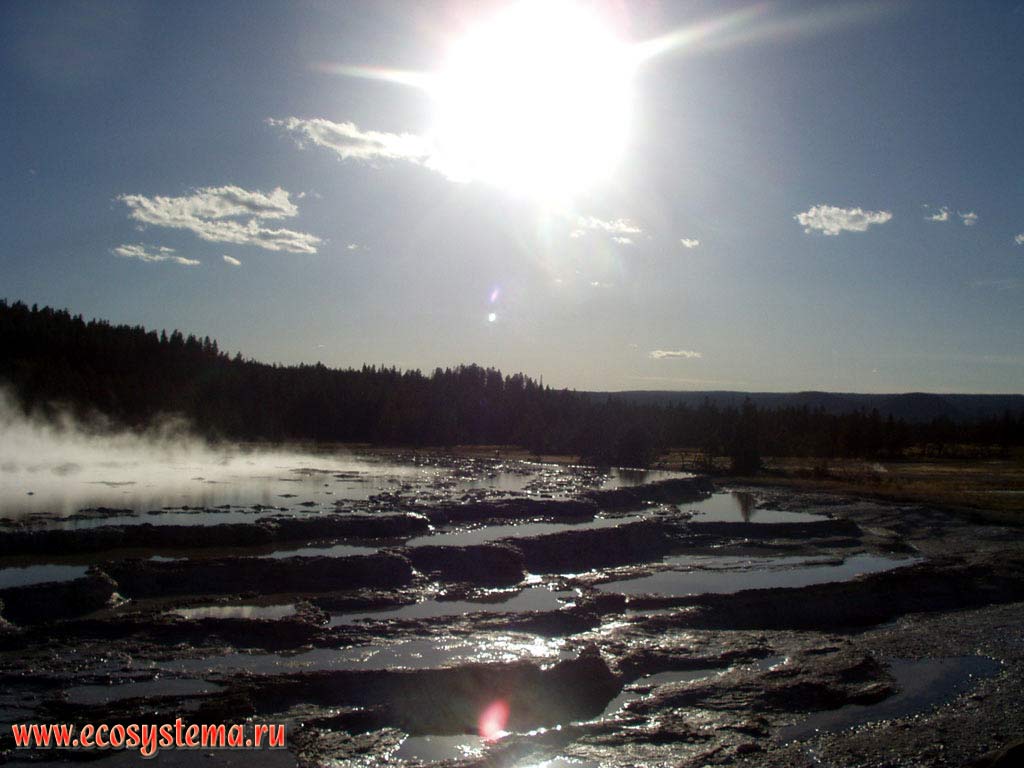 Geysers in winter