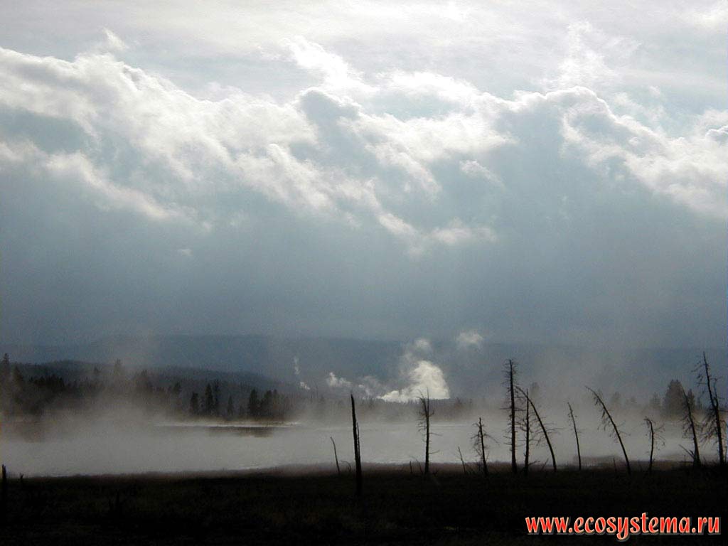 Geysers in winter