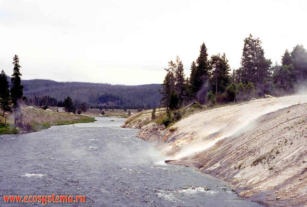 Место впадения воды термальных вод (из гейзеров) в реку. Йеллоустоунский национальный парк.
Горный Запад Северной Америки, Кордильеры северо-запада США, Скалистые горы, штат Вайоминг