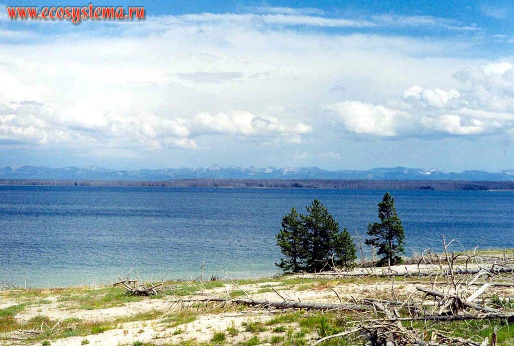 Озеро Йеллоустон в центре гигантской кальдеры древнего вулкана площадью 2000 км2. Высота озера - 2357 м над уровнем моря.
Йеллоустоунский национальный парк. Горный Запад Северной Америки, Кордильеры северо-запада США, Скалистые горы, штат Вайоминг