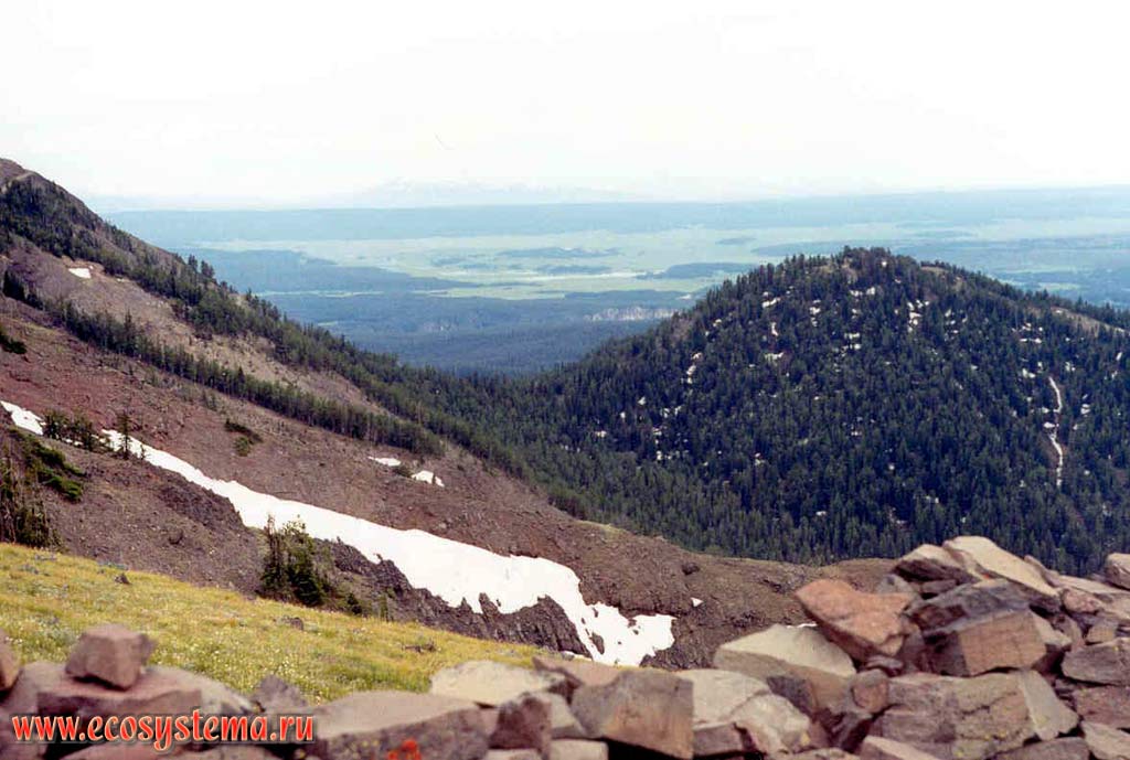 Ландшафт горной системы Скалистых гор с субальпийскими лугами (на переднем плане) и темнохвойными лесами. Высоты - около 2800 м н.у.м.
Йеллоустоунский национальный парк. Горный Запад Северной Америки, Кордильеры северо-запада США, штат Вайоминг