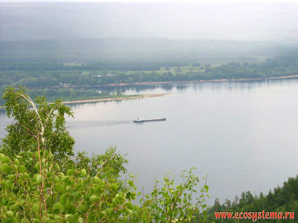 Zhiguli reserve. View from the Strelnaya Hill.