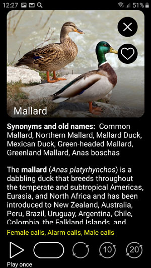 Mobile application field guide Birds of Europe: Songs, Calls and Voices - playing options