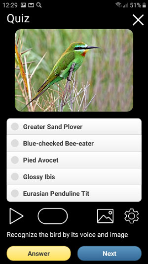 Mobile application field guide Birds of Europe: Songs, Calls and Voices - Quiz screen