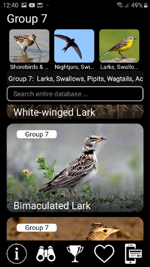 Birds of Russia Songs and Calls: mobile field guide - Birds groups choise