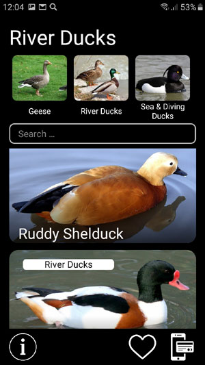 Mobile field Guide app Bird Decoys: European Birds Songs, Calls, Sounds - River Ducks group