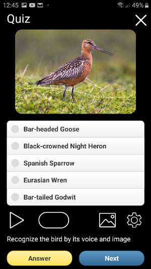 Mobile app Birds of Russia: Field Identification Guide - Quiz screen
