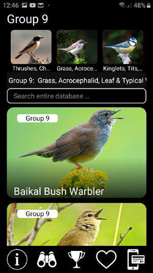 Mobile app Birds of Russia: Field Identification Guide - birds groups options screen