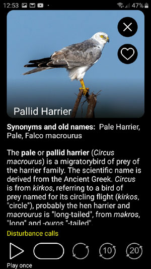Mobile app Birds of Europe PRO: Field Identification Guide - bird calls playback options