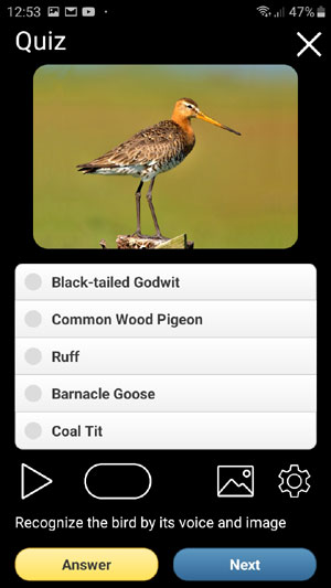 Mobile app Birds of Europe PRO: Field Identification Guide - Quiz screen