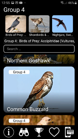 Mobile app Birds of Europe PRO: Field Identification Guide - Birds of Prey group