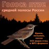 MP3-диск Голоса птиц средней полосы России