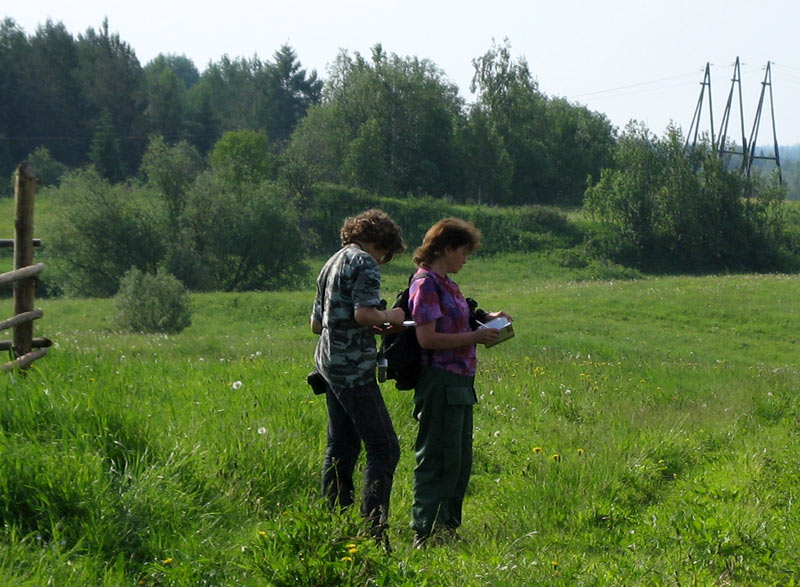 Июнь 2006 г., Пинежский заповедник, Архангельская область. Фото Е.А.Говоровой