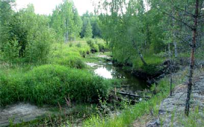 Река Иваньково в конце июля 2009 г.
