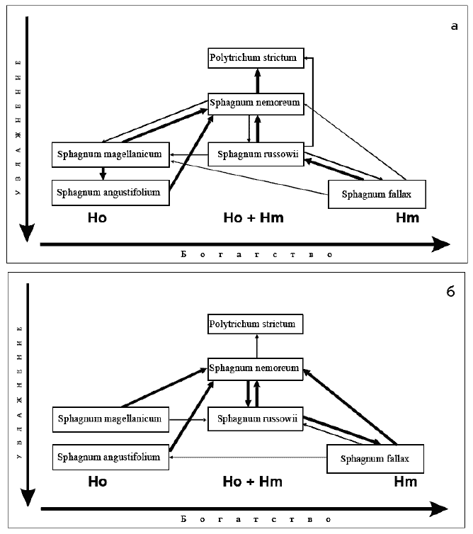 Схемы динамики мхов на изученном болоте с учетом их частот. а — центральная часть; б — периферическая часть