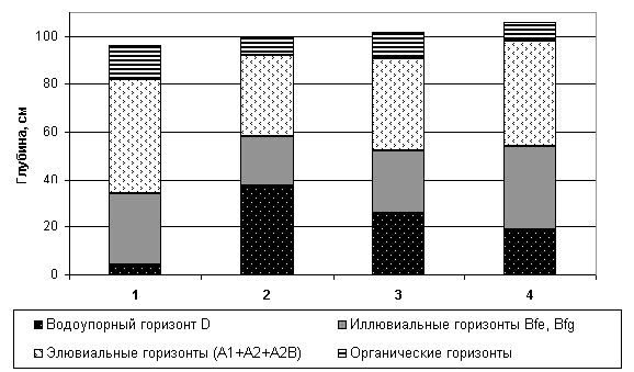 Схема строения почвы на разных парцеллах с учетом их положения в микрорельефе