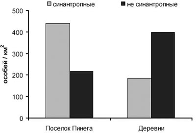 Плотность синантропных и несинантропных видов птиц в населенных пунктах Архангельской области (июнь)