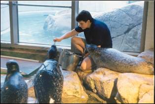 Занятия в аквариуме (США)