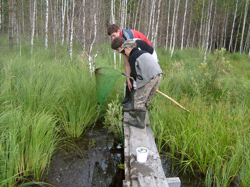 Школа Дикой Природы - 2007: отбор проб водных беспозвоночных с мостков на озере Малое Лебединое