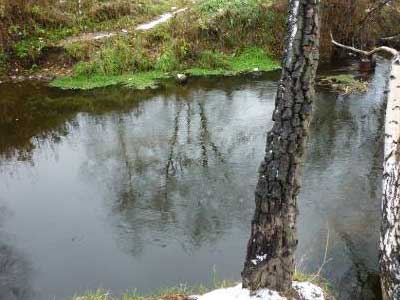 Cравнение уровня сапробности реки Клязьма и ручья Овражьего: Точка №3 река Клязьма