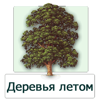 Мобильное приложение Полевой атлас-определитель деревьев, кустарников и лиан России для мобильных устройств