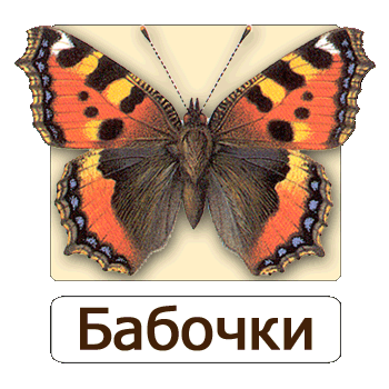 Мобильное приложение Полевой атлас-определитель дневных бабочек