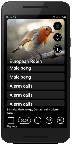 Bird Decoys for European Birds: Songs, Calls, Sounds, Bird voices - application for Android download from Google Play / Play Market for free