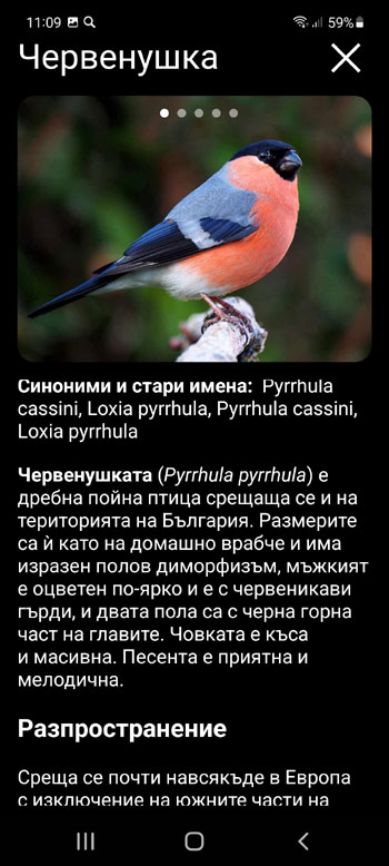 Мобилно приложение полево ръководство Звукова примамка на Европейски птици - екран за описание на видовете птици
