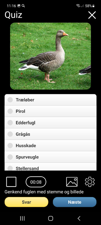 Mobil applikation Lokkefugle til Europas fugle: sange, opkald, lyde, fuglestemmer - Test skГ¦rm
