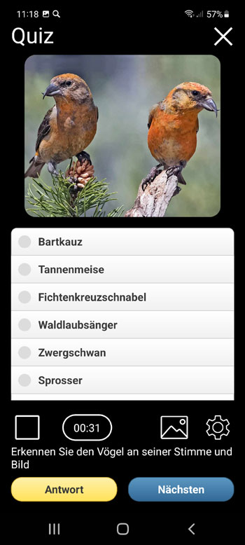 Mobile Feldidentifikationführer Europäische Vögellieder PRO: Lieder, Anrufe und Stimmen - Quiz Bildschirm